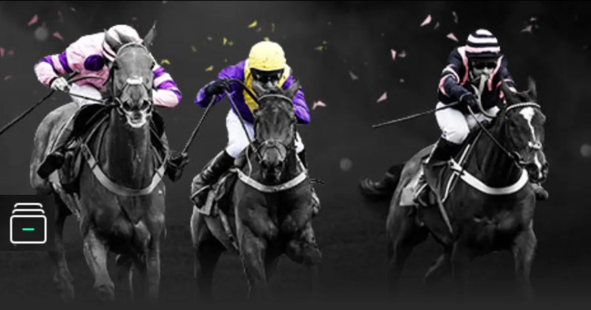 梅西国家队,一年休战,生日场再续,开云官网,开云体育,开云全站,开云入口,开云代理