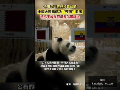 拜仁求购中,场新星,锁定帕利尼,开云官网,开云体育,开云全站,开云入口,开云代理