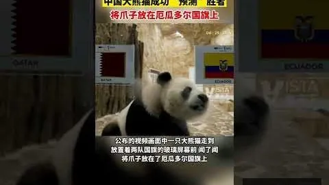 拜仁求购中场新星，锁，开云全站，定帕利尼亚，格雷罗转会身无束缚